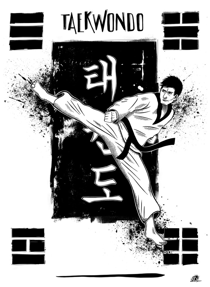 Taekwondo Fighter